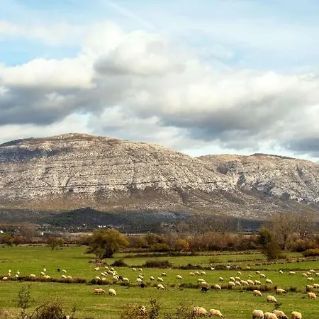 Dinara Relax 木屋 *